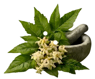 NEEM